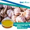 Garlic extract is derived from the bulbs of the garlic plant, Allium sativum. Garlic has been used for medicinal purposes for thousands of years and contains numerous sulfur compounds, including allicin, that are responsible for its health benefits.